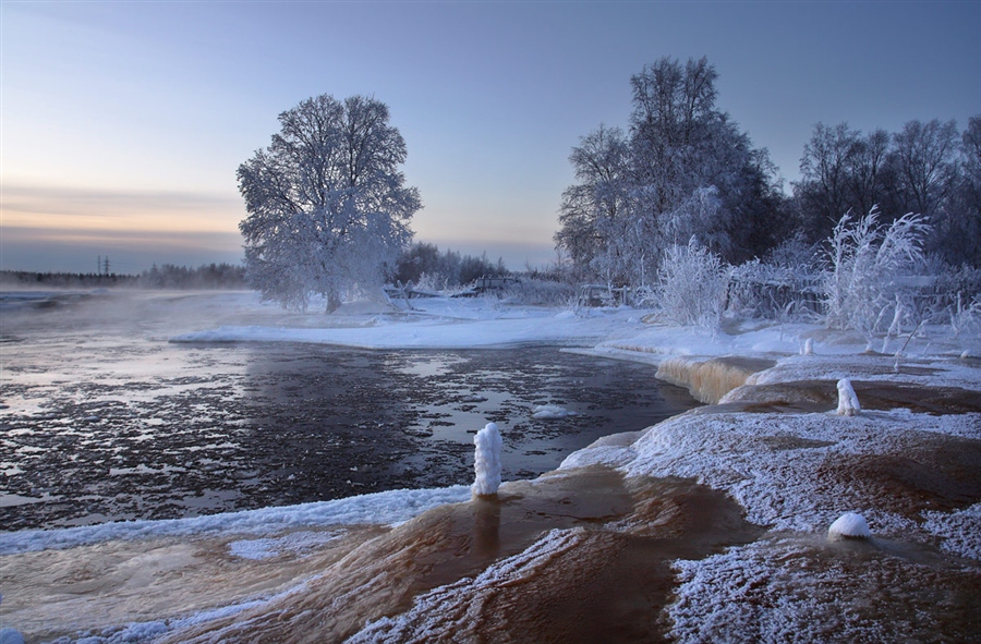 Фото жизнь