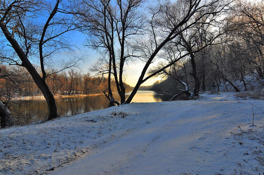 Фото жизнь