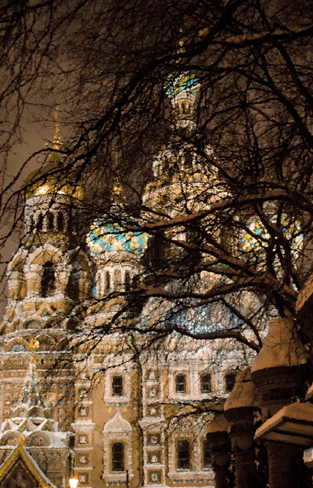 Фото жизнь
