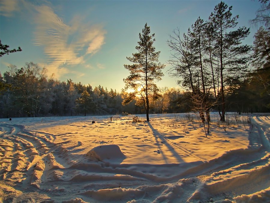 Фото жизнь