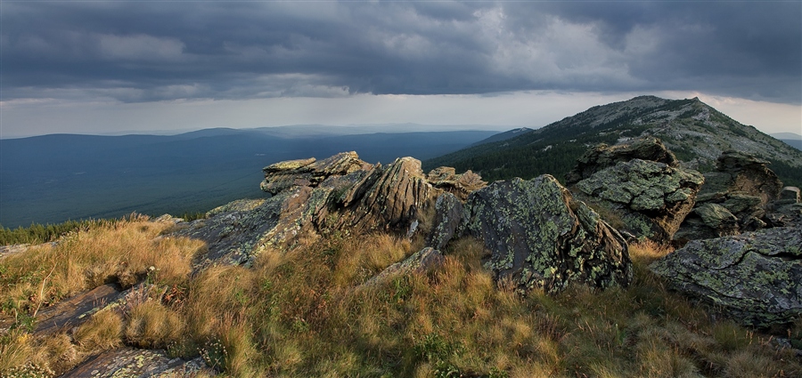 Фото жизнь