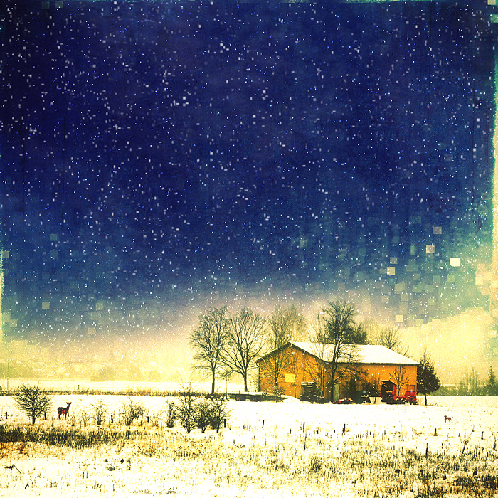 Фото жизнь (light) - Saranikolai - корневой каталог - Winter