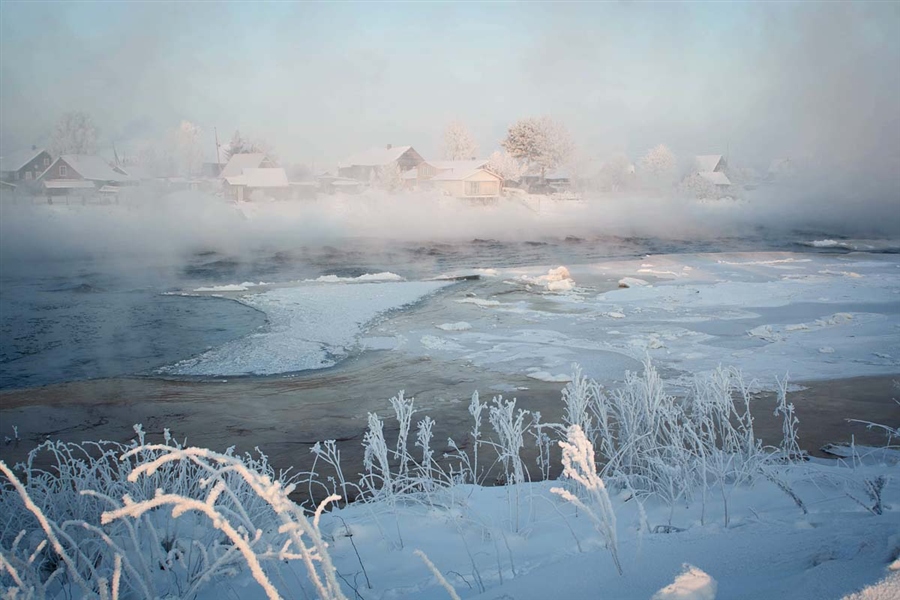 Фото жизнь
