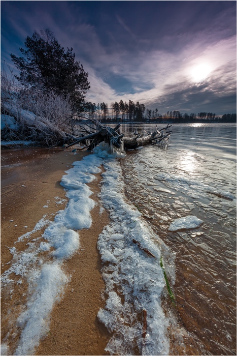 Фото жизнь