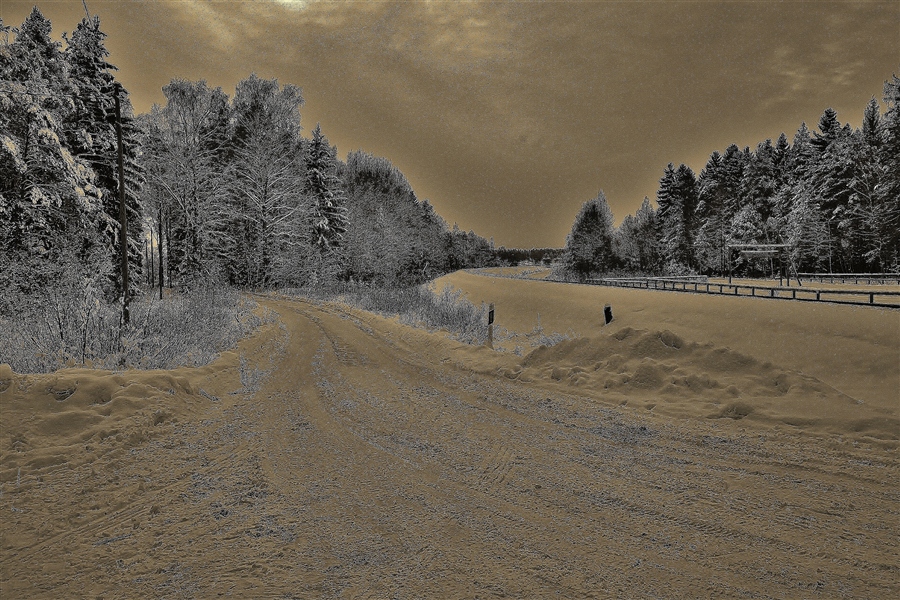 Фото жизнь