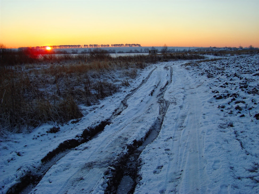 Фото жизнь