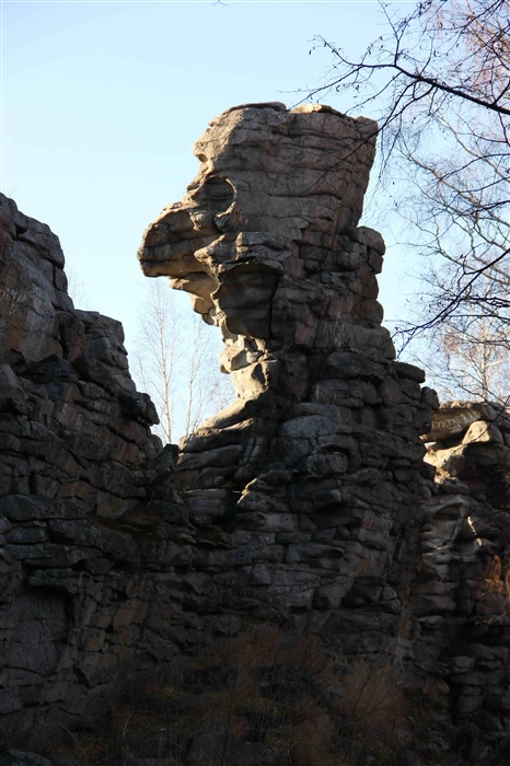 Фото жизнь