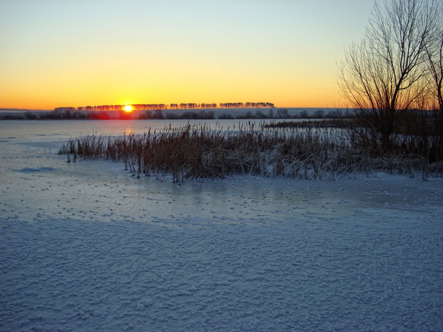 Фото жизнь
