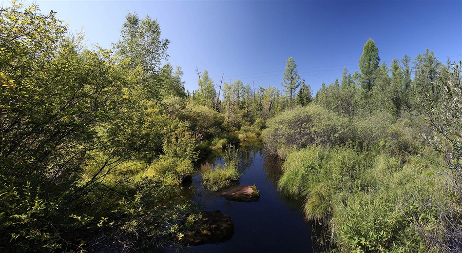 Фото жизнь