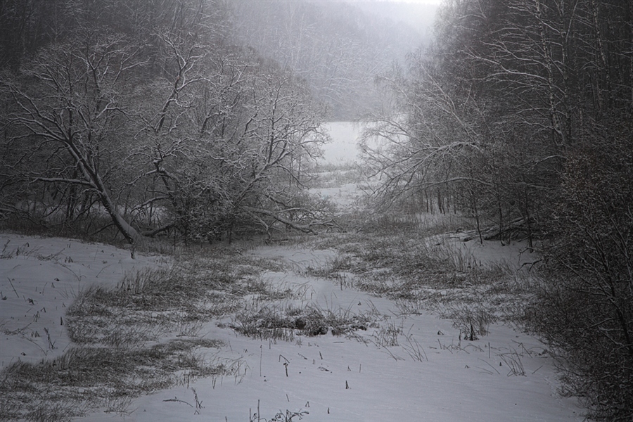 winter trails