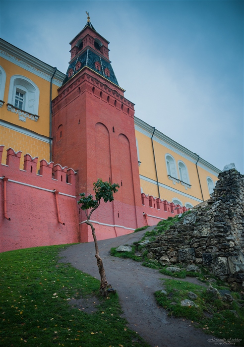 Фото жизнь