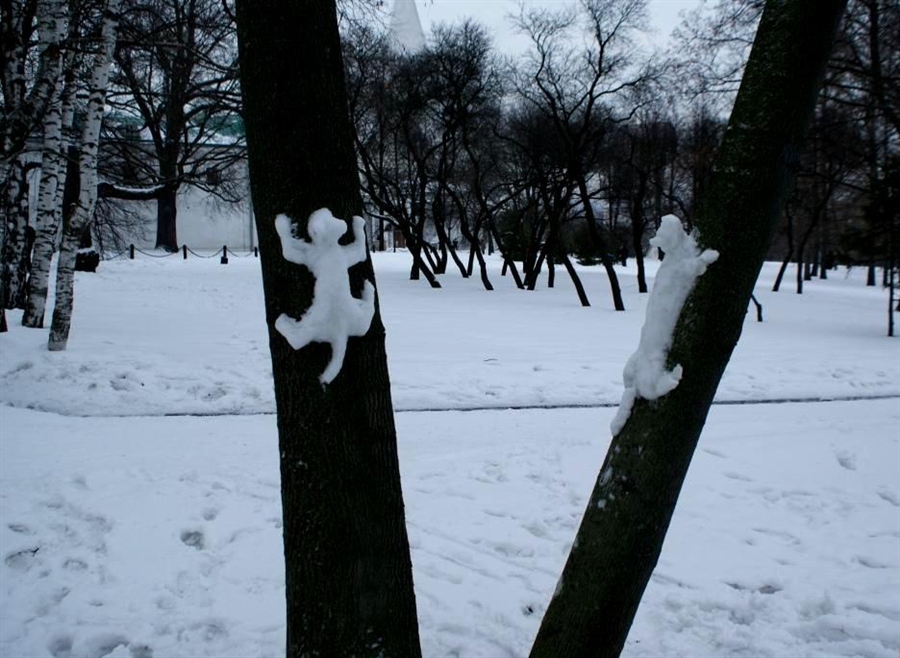 Фото жизнь