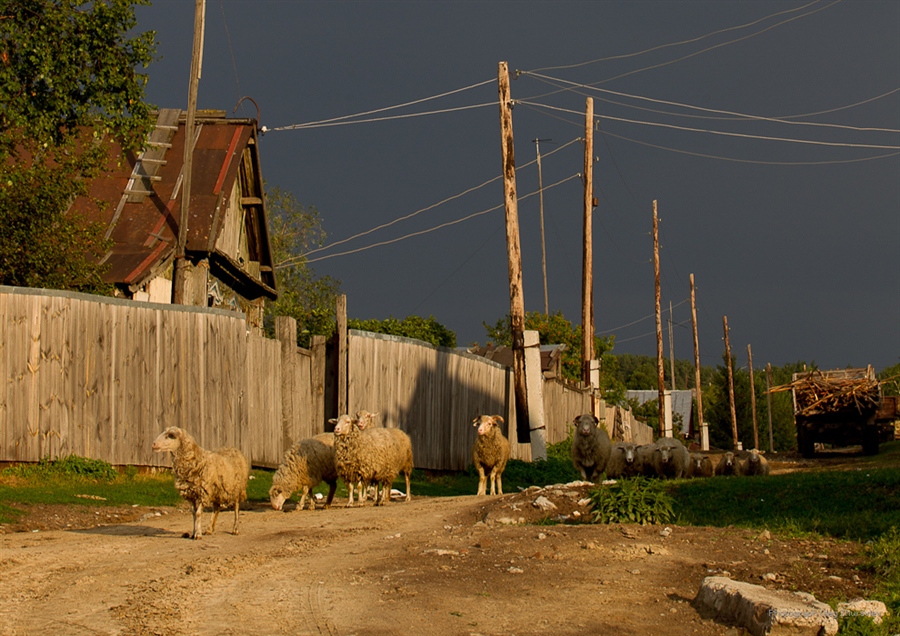 Фото жизнь