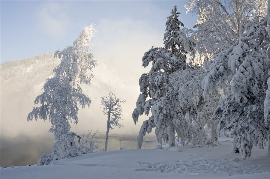 Фото жизнь