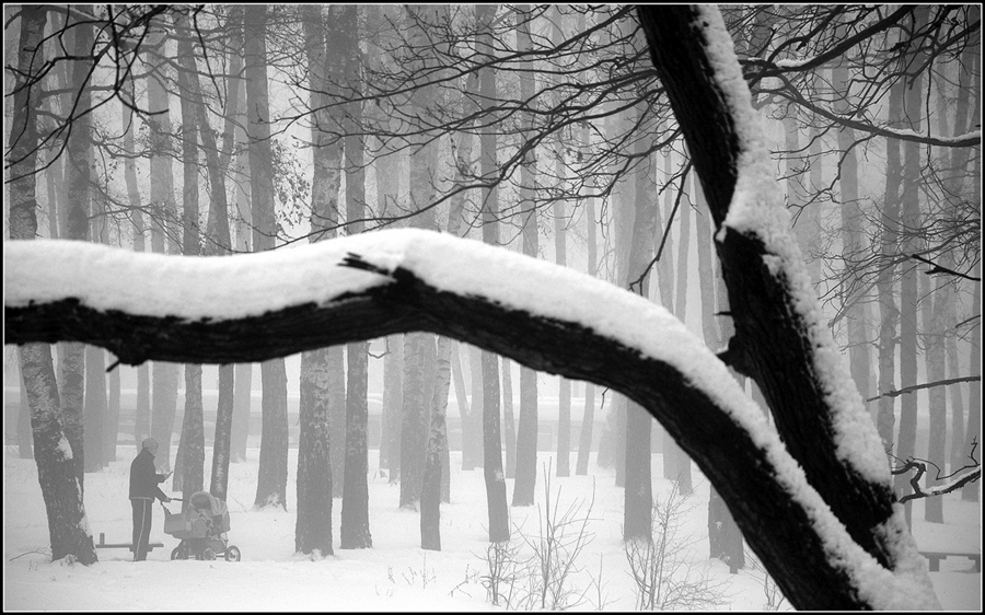Фото жизнь (light) - sergey_kovyak - корневой каталог - Зимняя...колыбельная...