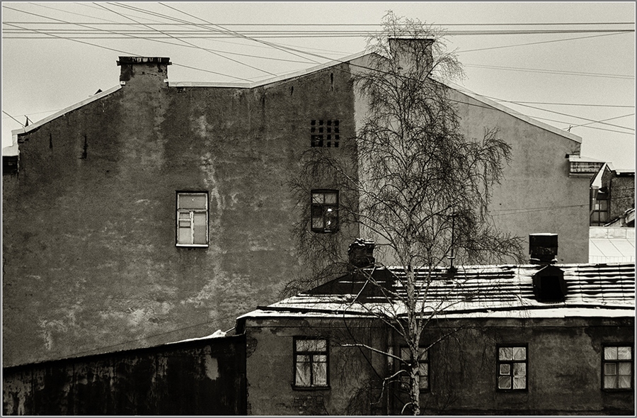Фото жизнь