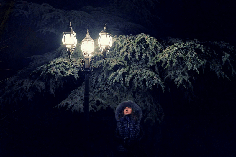 Фото жизнь (light) - Николай Рудченко - Ночная съёмка ....:) - Одни.....
