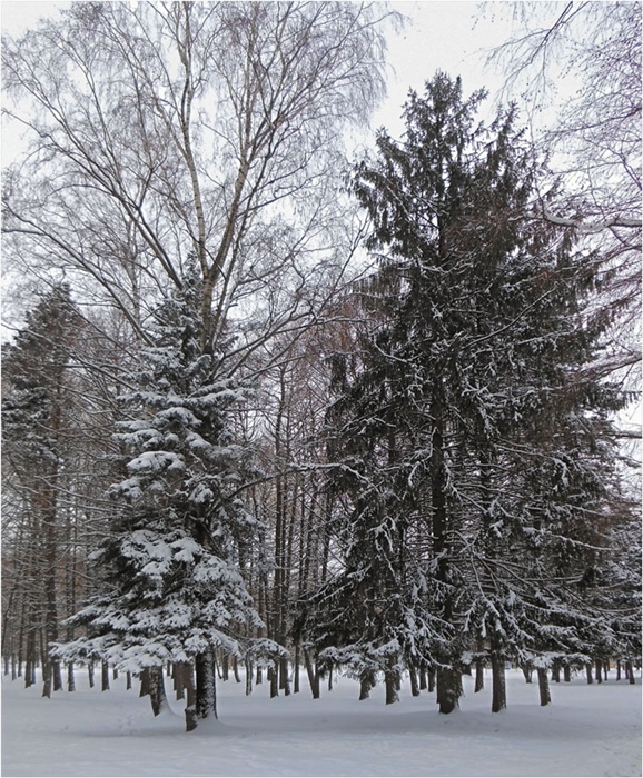 Фото жизнь