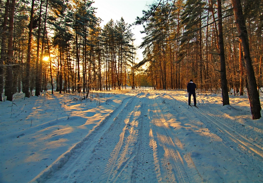 Фото жизнь