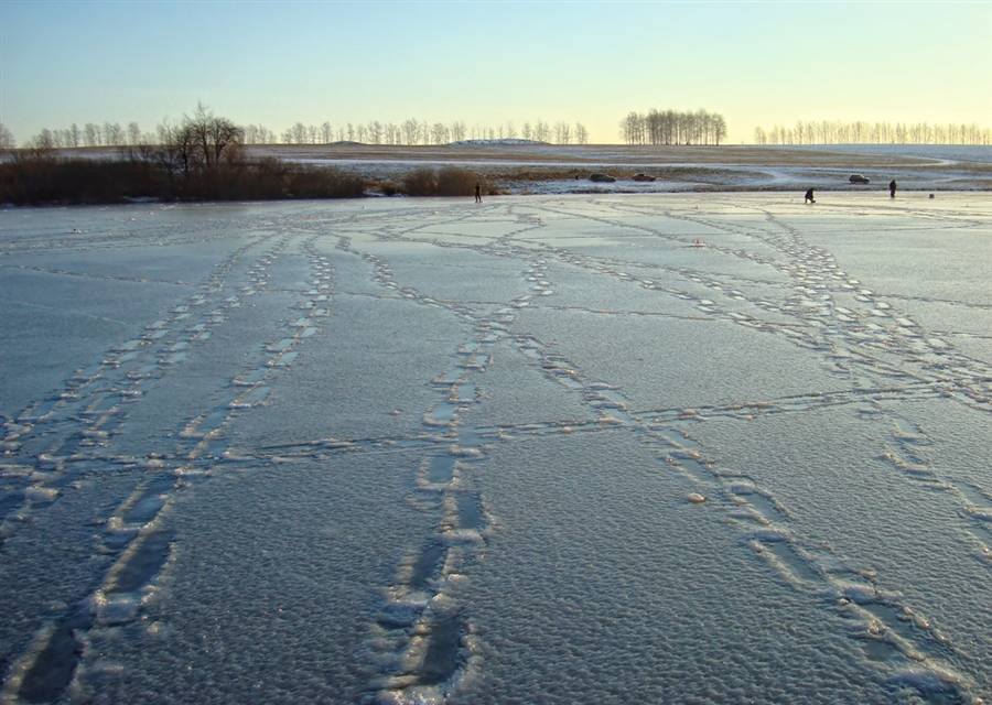 Фото жизнь
