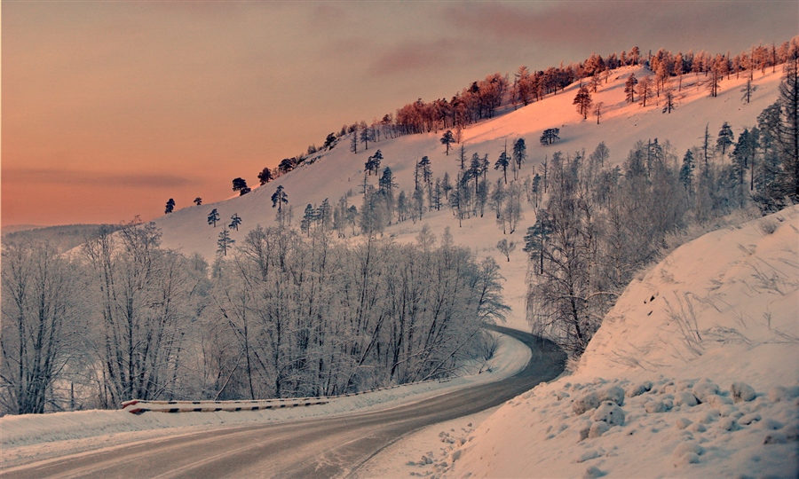 Фото жизнь