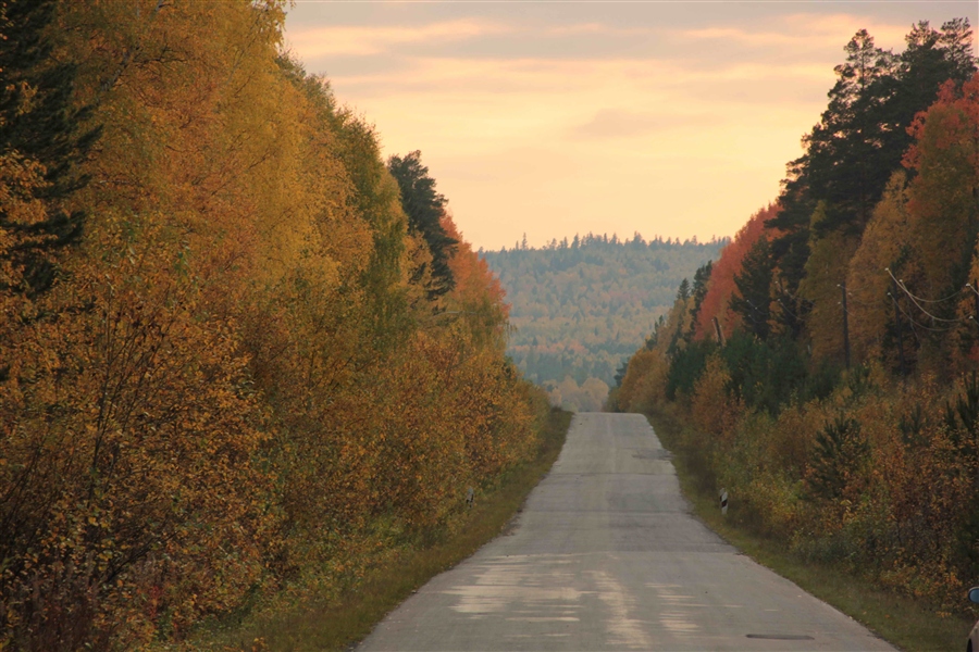 Фото жизнь