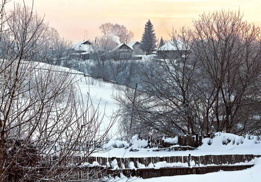 Фото жизнь