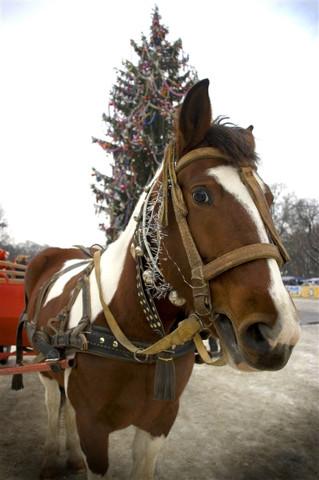 Фото жизнь