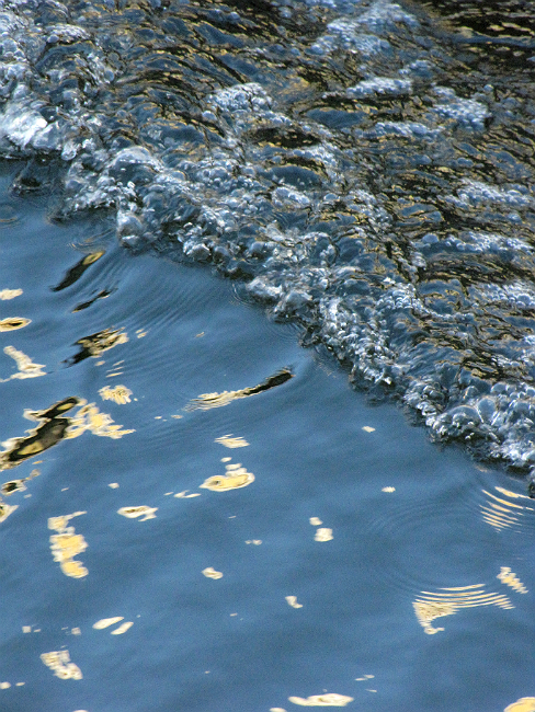 Фото жизнь (light) - dzinner - корневой каталог - волна