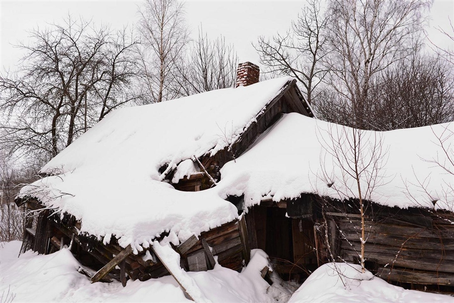 Фото жизнь