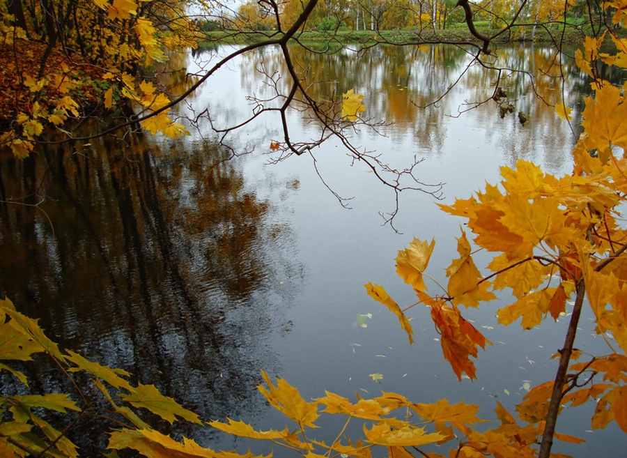 Фото жизнь