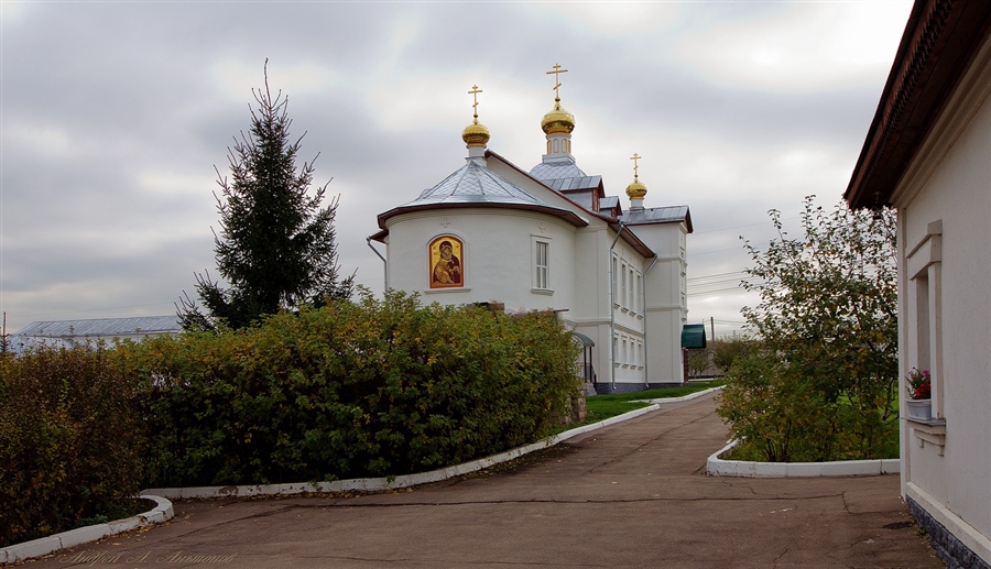 Фото жизнь