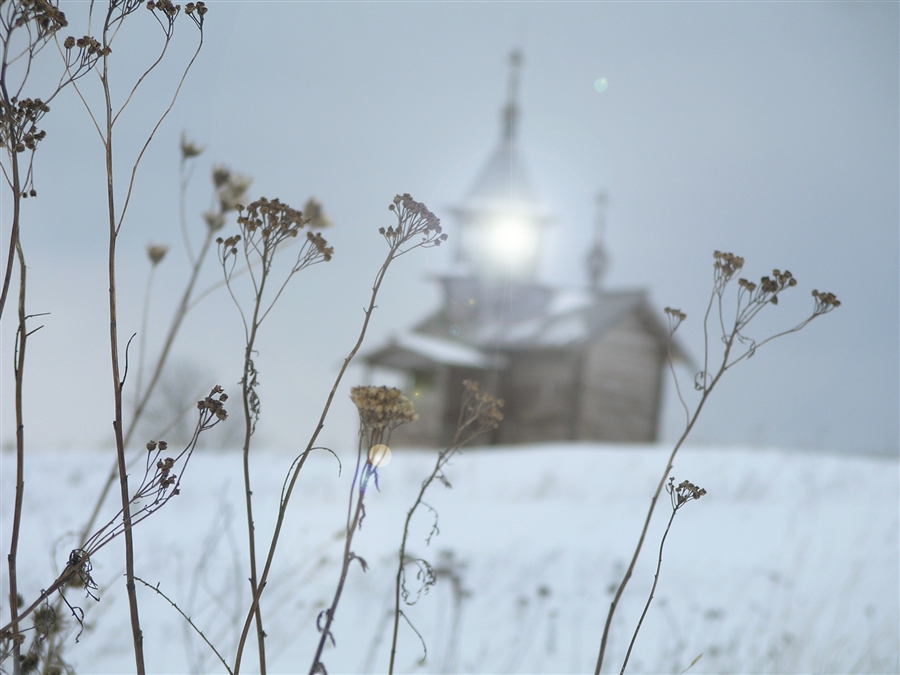 Фото жизнь