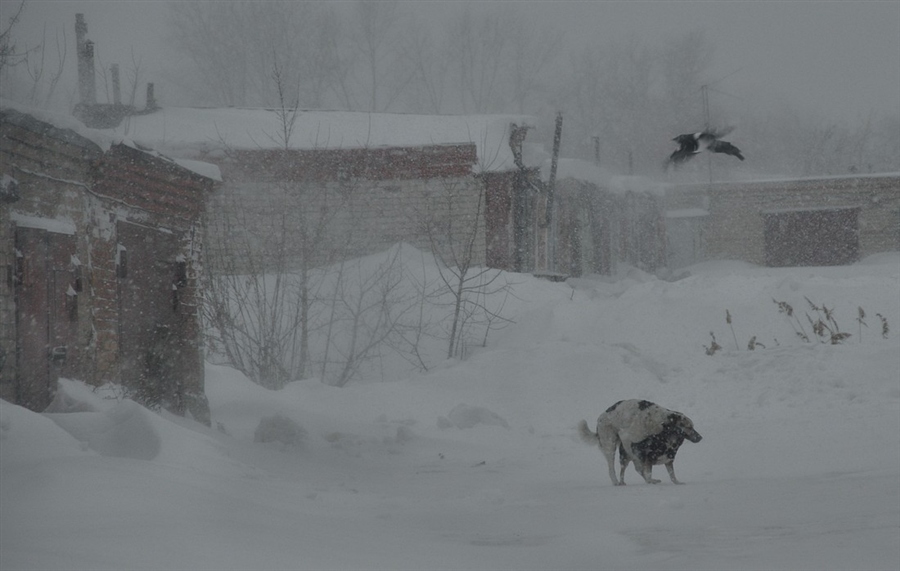 Фото жизнь