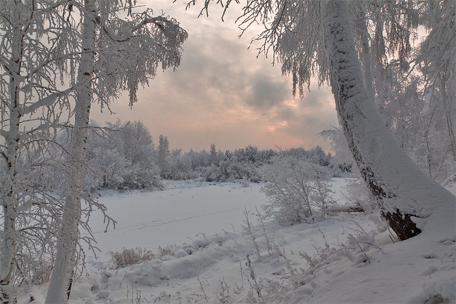 Фото жизнь