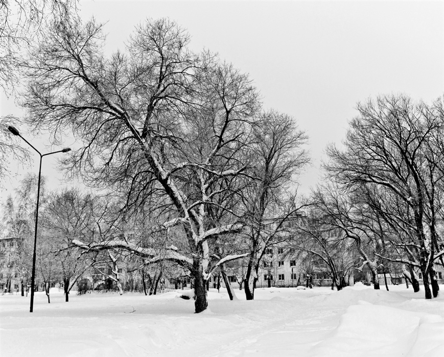 Фото жизнь