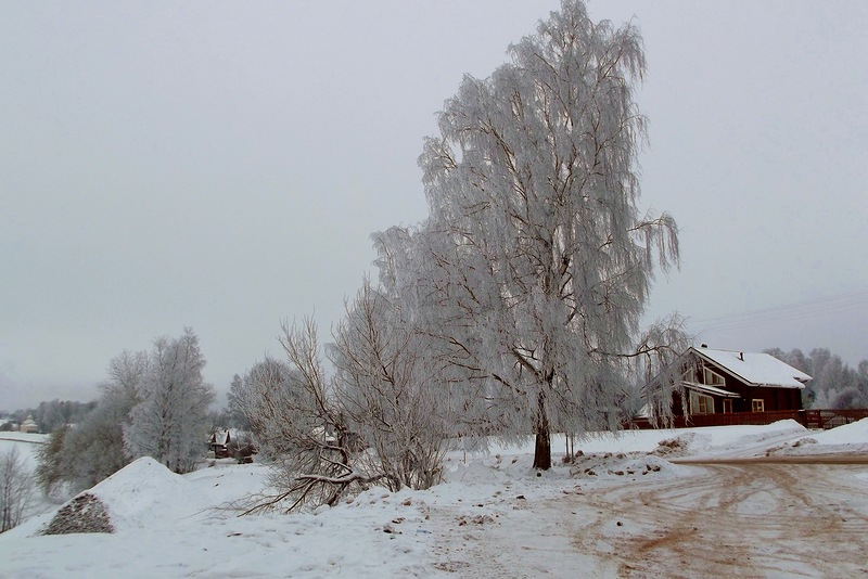 Фото жизнь