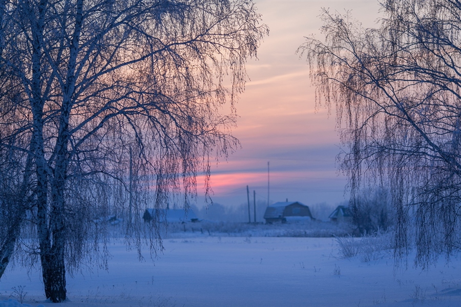 Фото жизнь