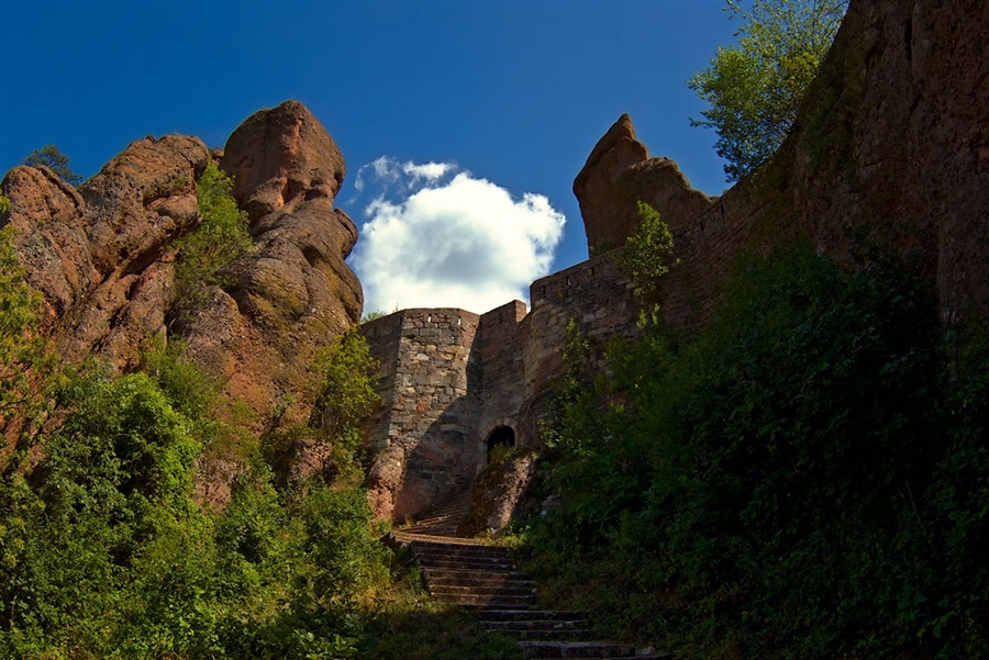 Фото жизнь