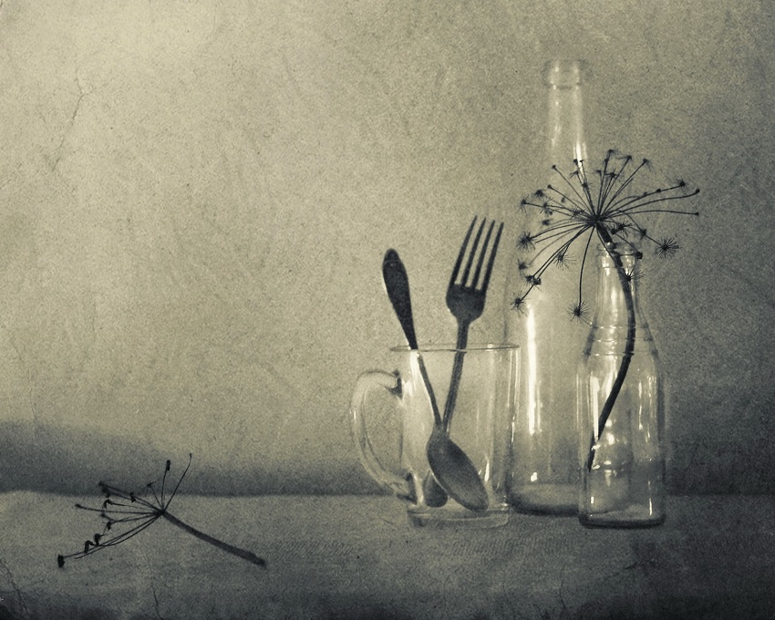 Фото жизнь (light) - Lilliya - корневой каталог - кухонно-бутылочный... 