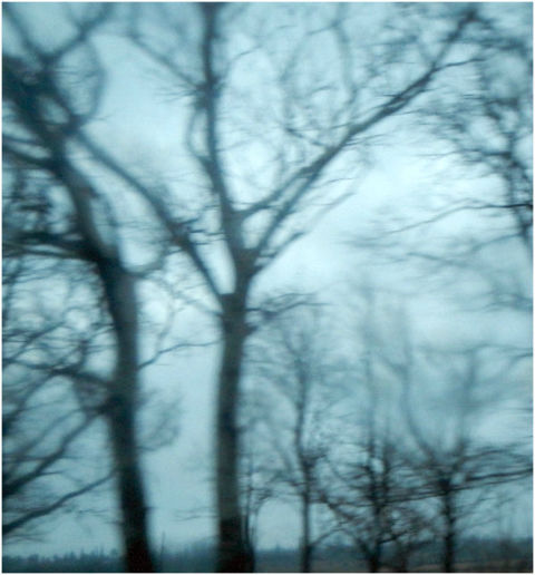 Фото жизнь (light) - Euphoria - корневой каталог - cold blue veins