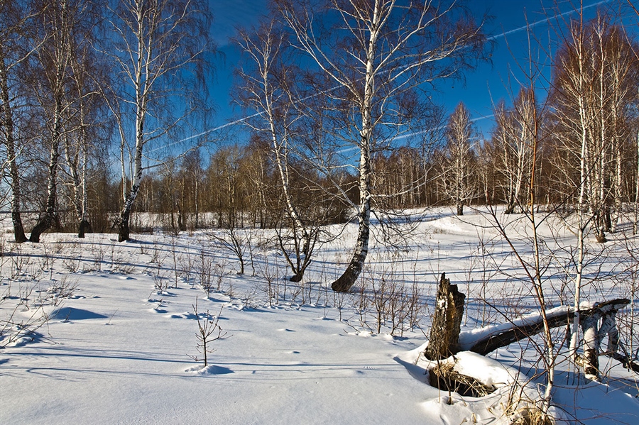 Фото жизнь