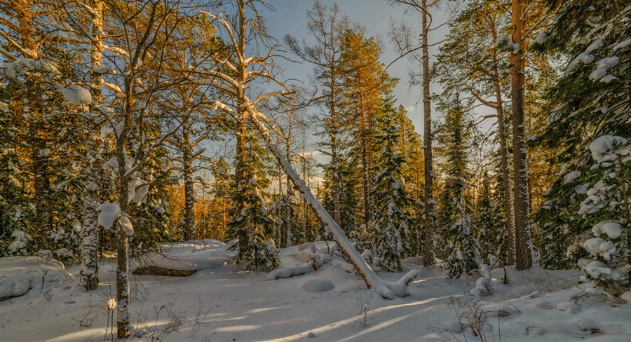Фото жизнь