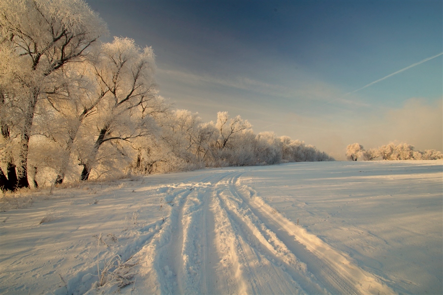 Фото жизнь