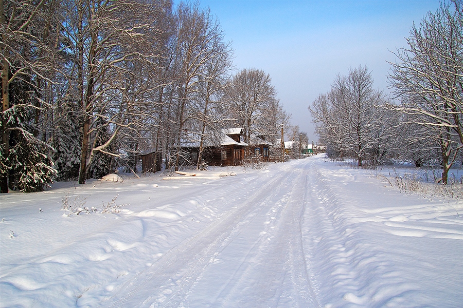 Фото жизнь