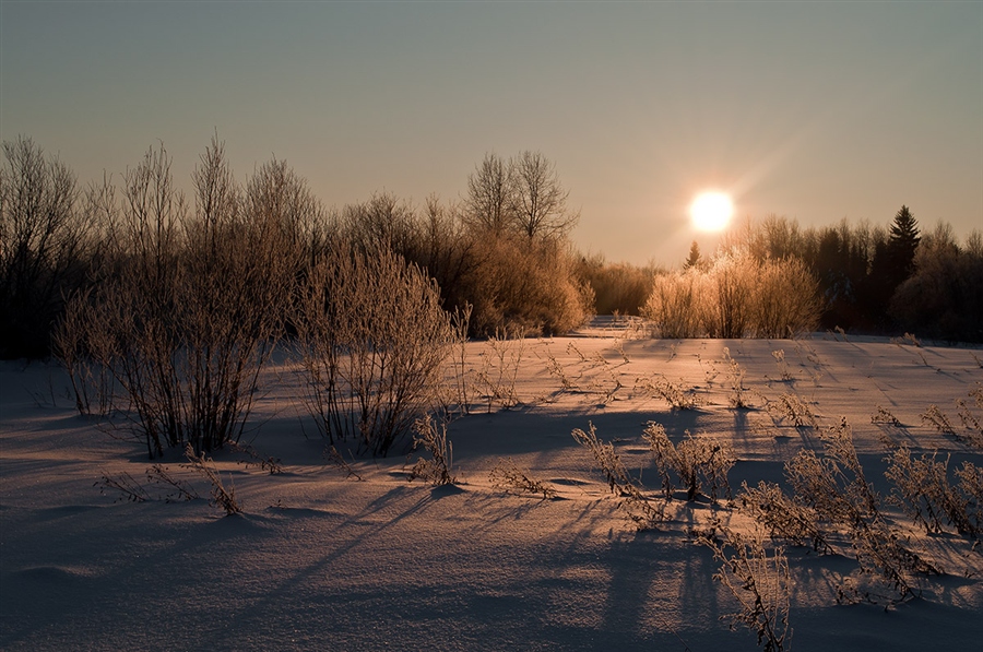 Фото жизнь