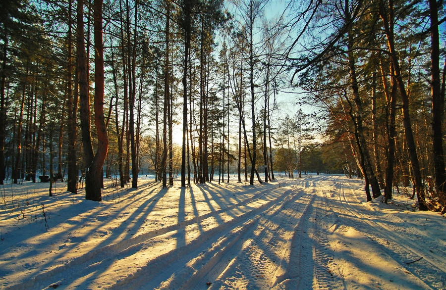 Фото жизнь