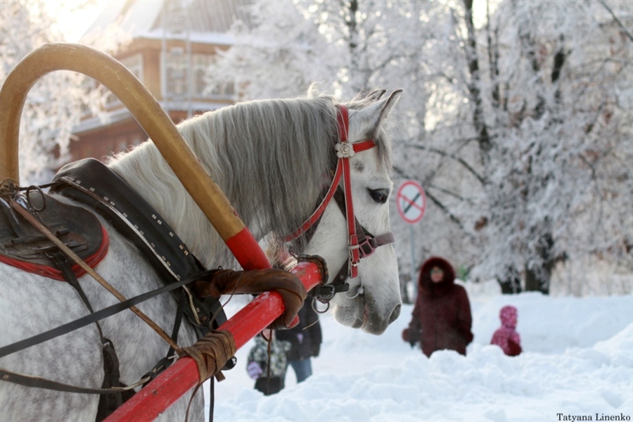 Фото жизнь