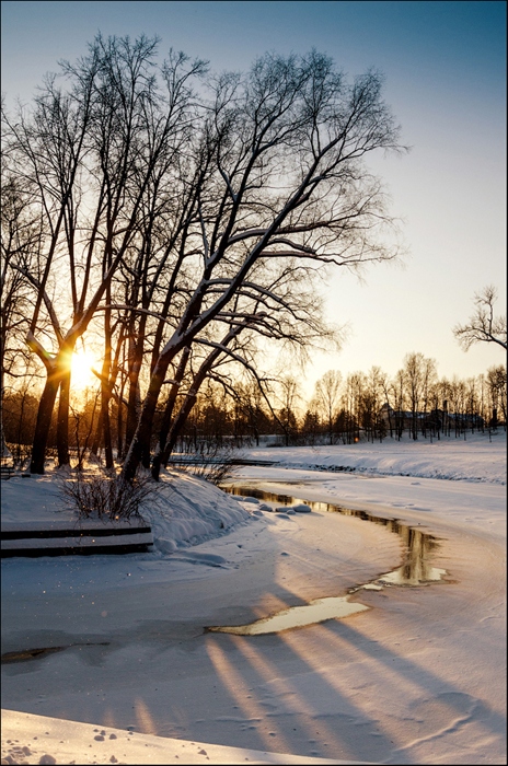 Фото жизнь