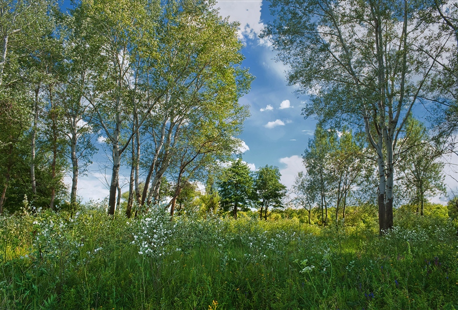 Фото жизнь
